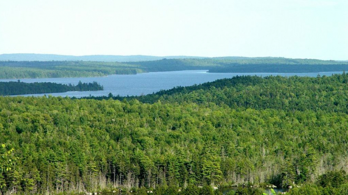 Scene from Maine