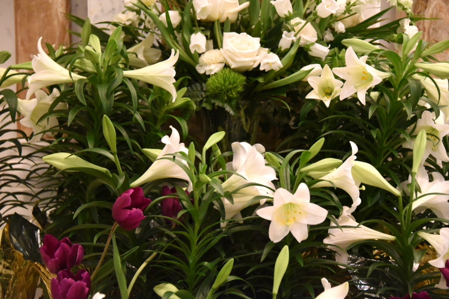 Easter lilies