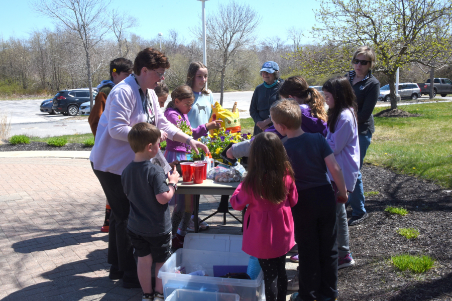 Making a Mary Garden