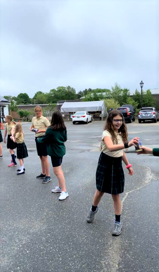 St. John's School Human Food Chain