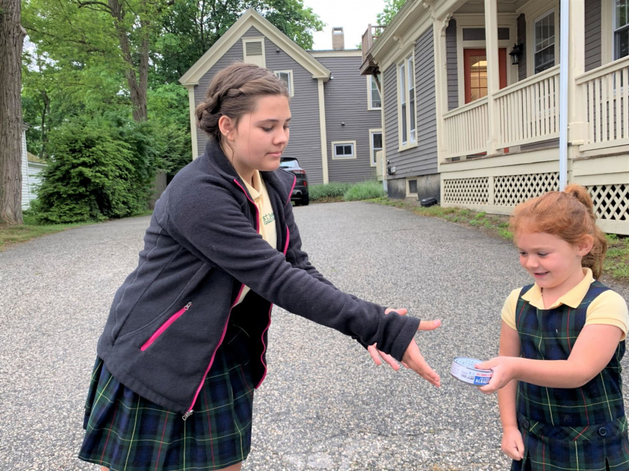 St. John's School Human Food Chain