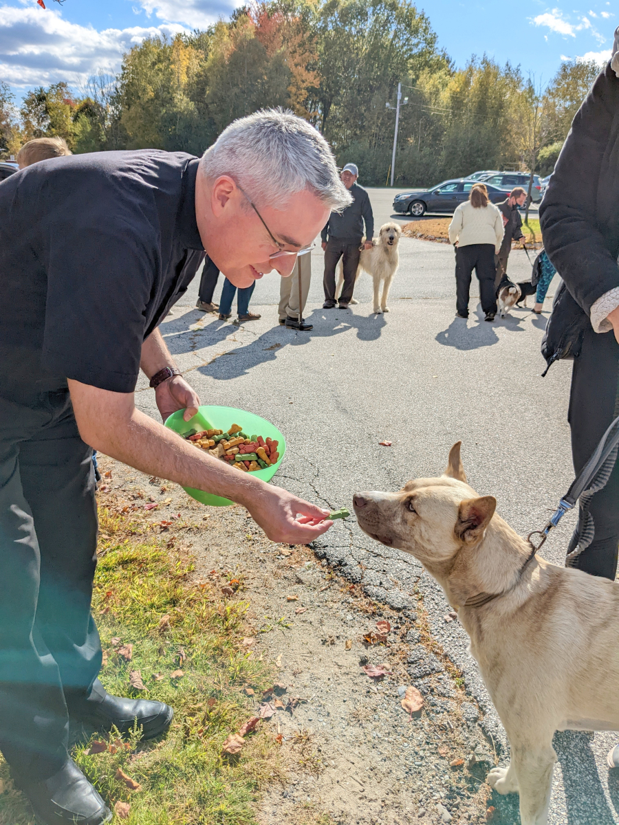 Blessing of the Animals in Bangor 