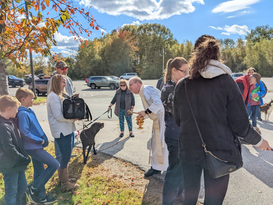 Blessing of the Animals in Bangor 