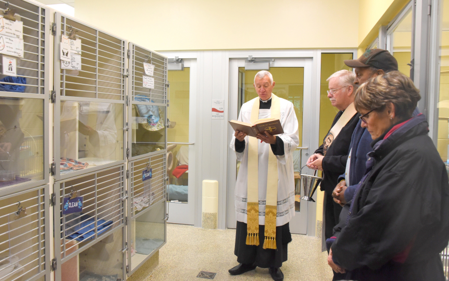 Blessing of the Animals with Fr. Lou 