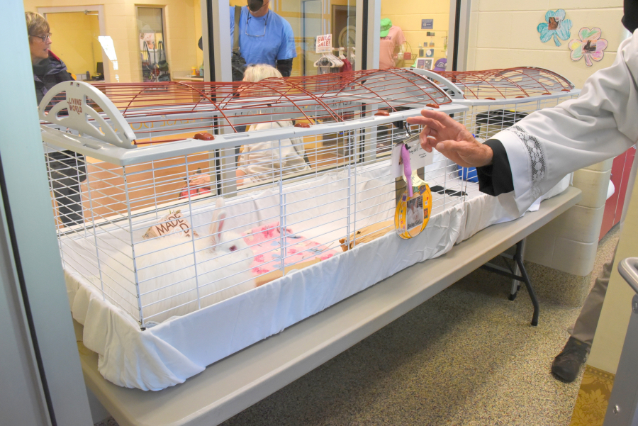 Blessing of the Animals with Fr. Lou 