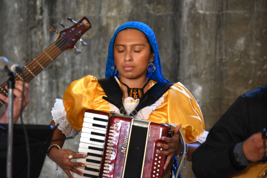 Accordion player