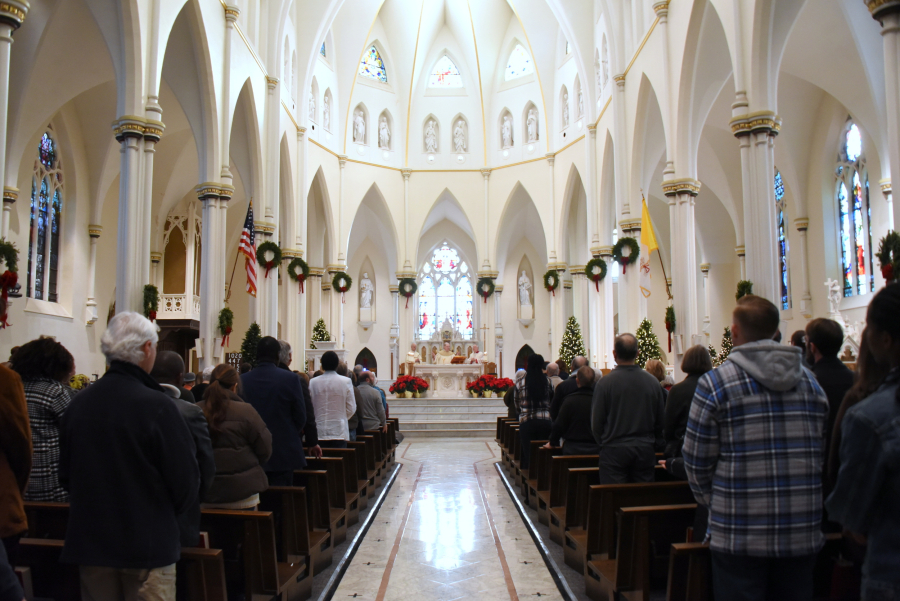 Wide view of the cathedral