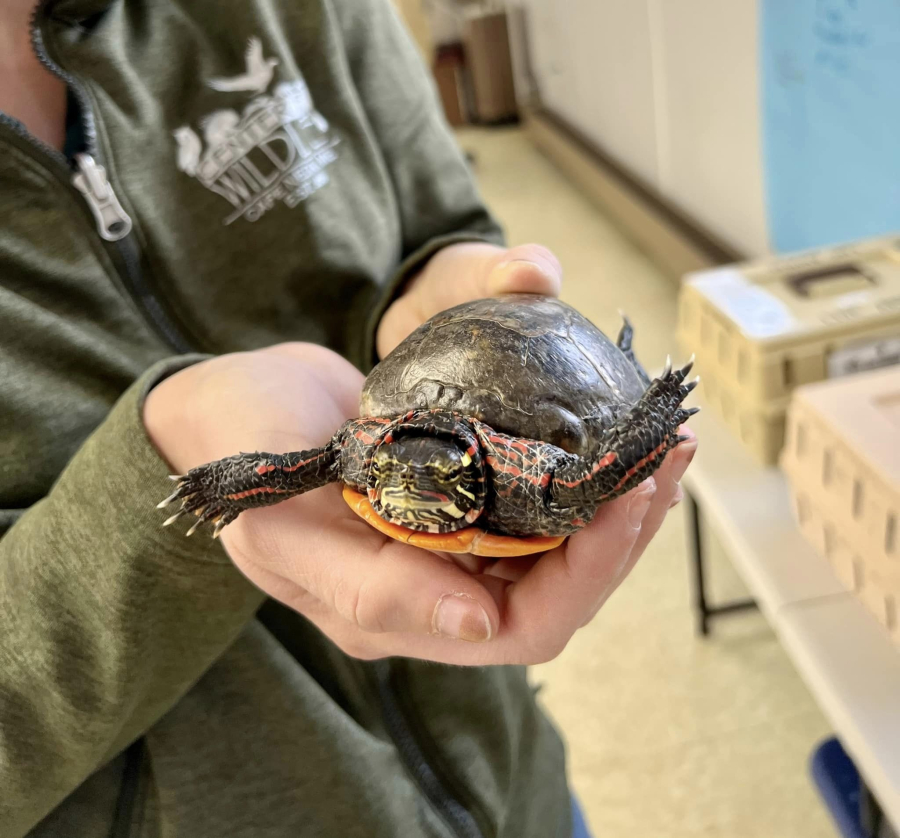 Maine Catholic Schools Week Tuesday