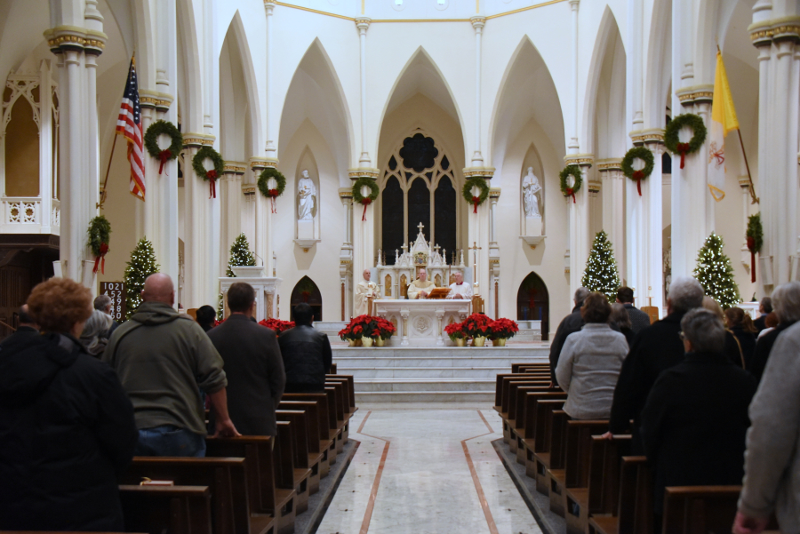 Cathedral of the Immaculate Conception