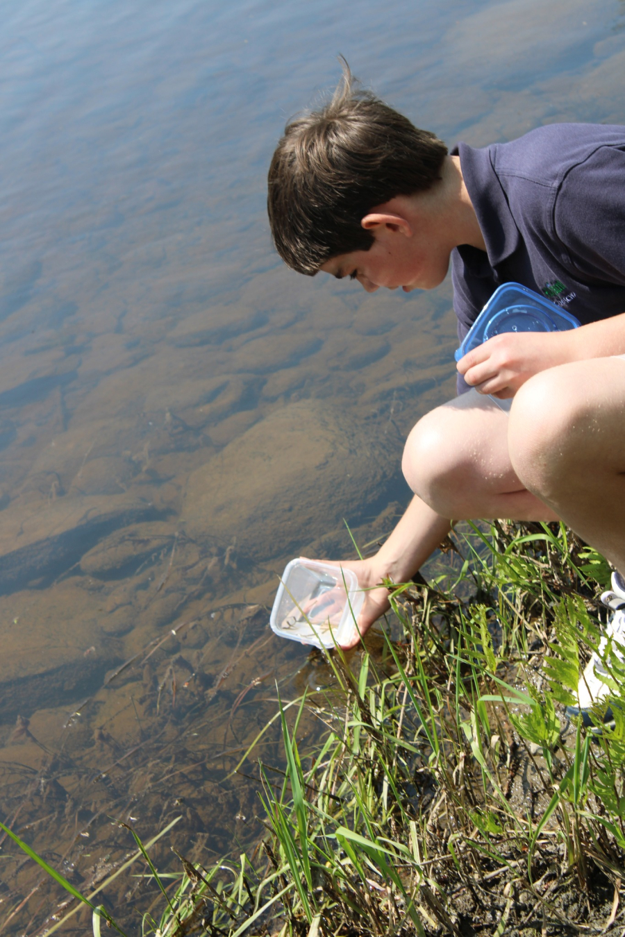 Atlantic Salmon Release Project at All Saints Catholic School in Bangor 