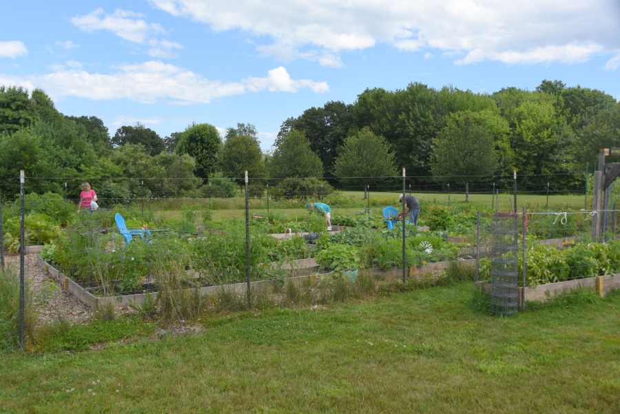 Wide photo of Garden of Eaten