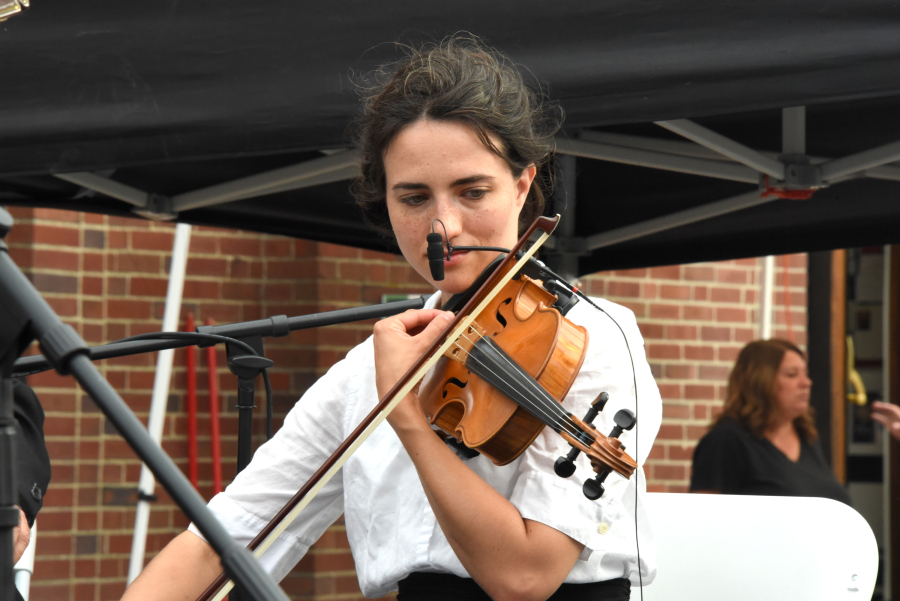 Violinist