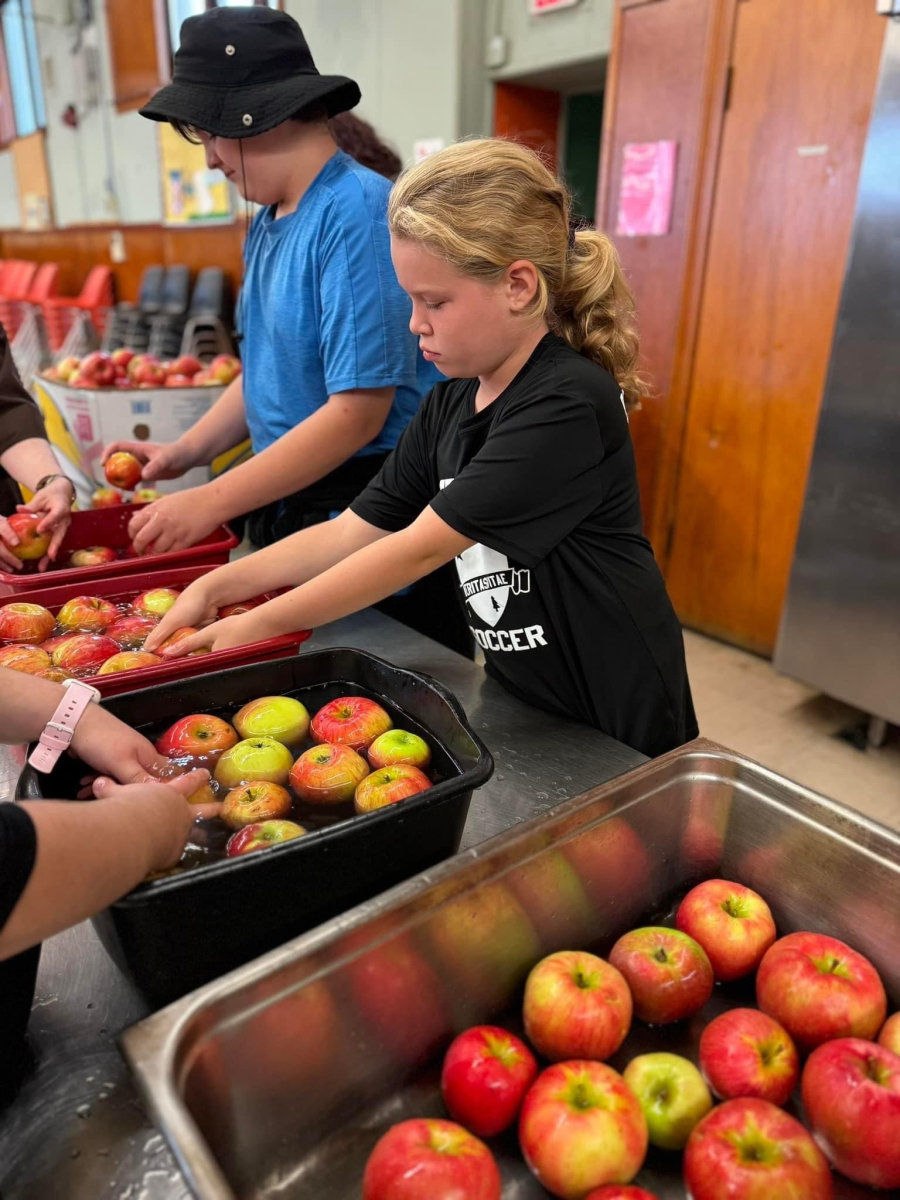 Sorting apples