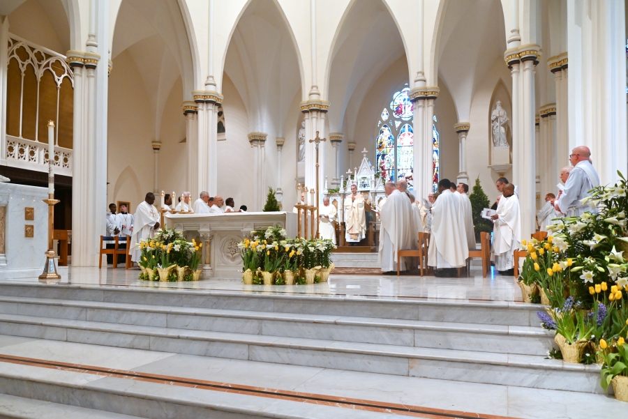 The sanctuary