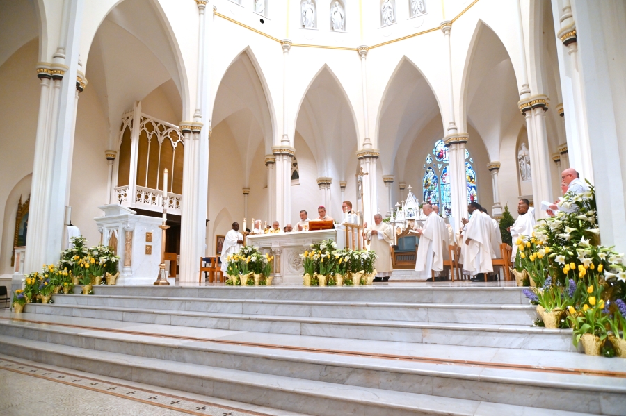 The sanctuary