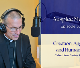 Creation, Angels, and Humanity (Catechism Series Part 7) - Auspice Maria Ep 37