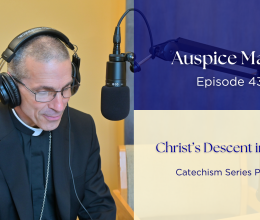 Christ's Descent into Hell (Catechism Series Part 13) - Auspice Maria Ep. 43