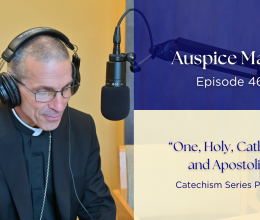 One, Holy, Catholic, and Apostolic (Catechism Series Part 16) - Auspice Maria Ep 46