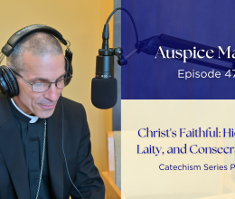 Christ's Faithful: Hierarchy, Laity, and Consecrated Life (Catechism Series Part 17) - Auspice Maria Ep 47