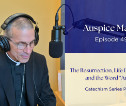 The Resurrection, Life Everlasting,  and the Word “Amen” (Catechism Series Part 19) Auspice Maria 49