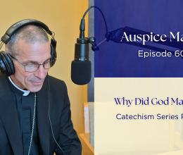 Why Did God Make Us? (Catechism Series Part 30) - Auspice Maria Ep. 60