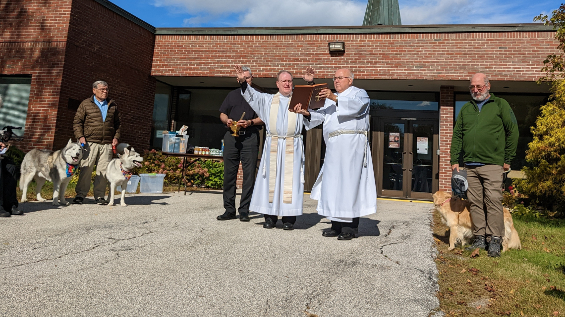 Blessing of the Animals, Bangor 