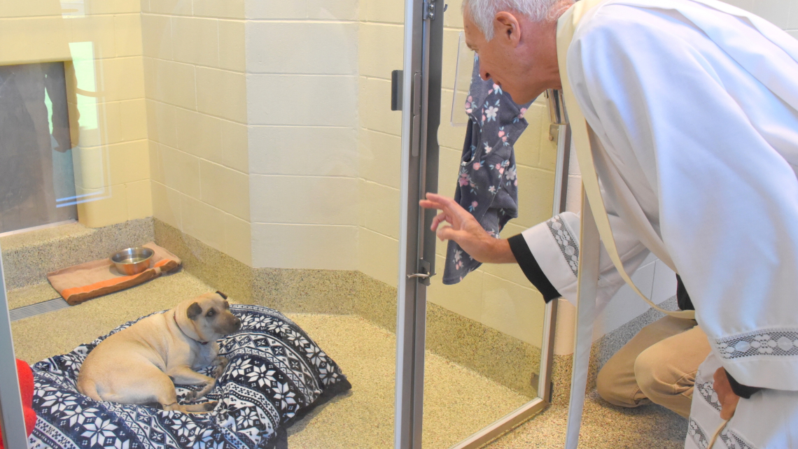 Blessing of the Animals with Fr. Lou 