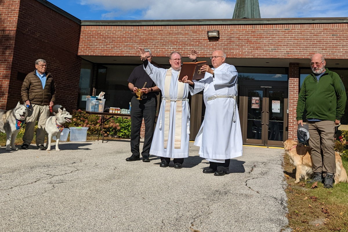 Blessing of the Animals, Bangor 