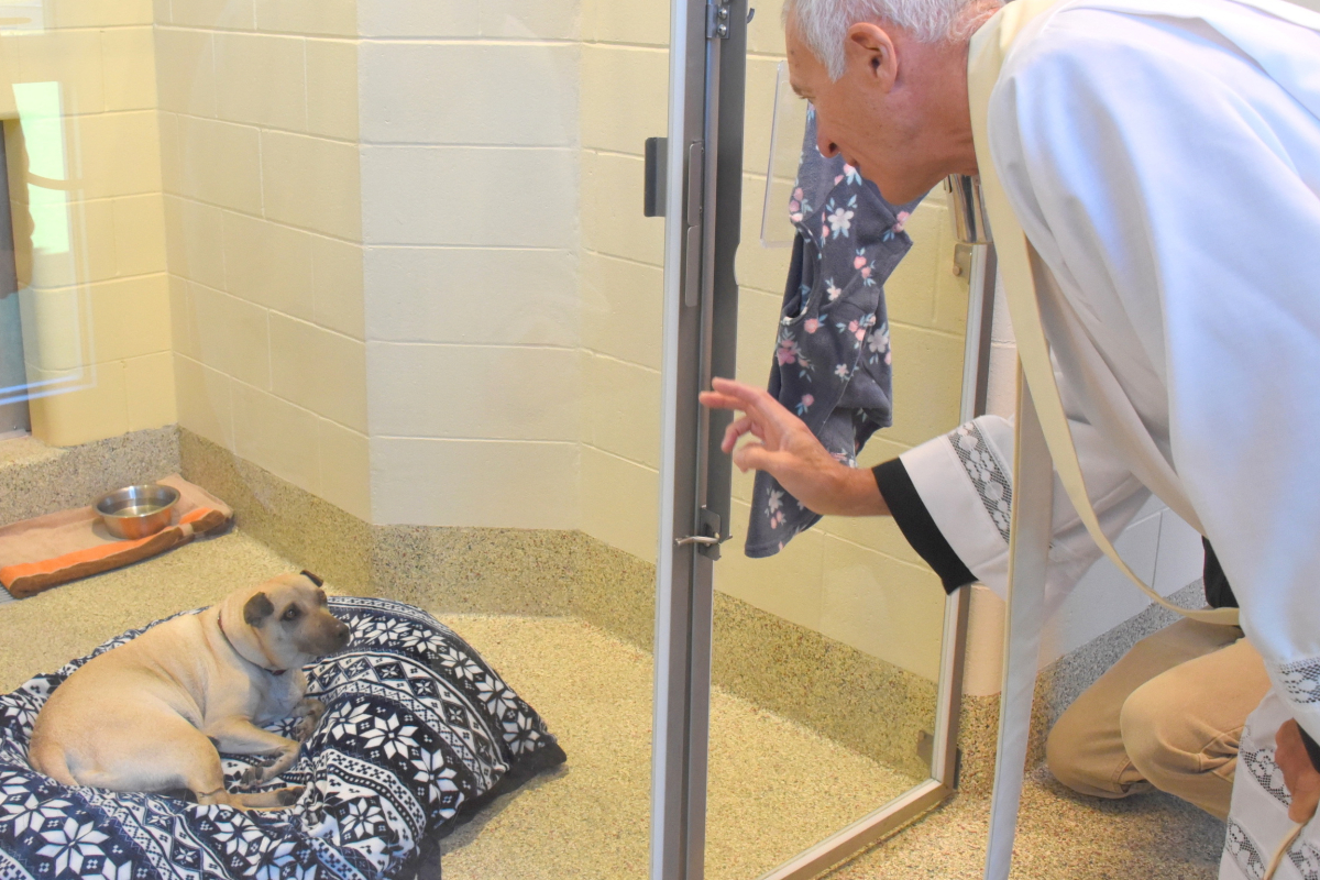 Blessing of the Animals with Fr. Lou 