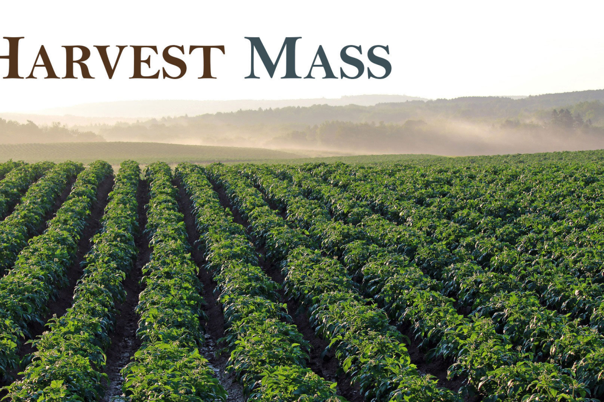 Harvest Mass