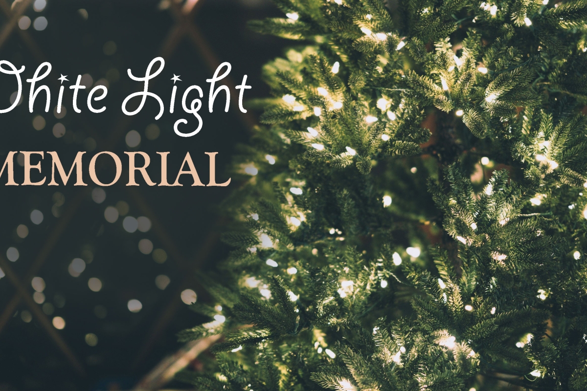 Evergreen with lights and thewords White Light Memorial.