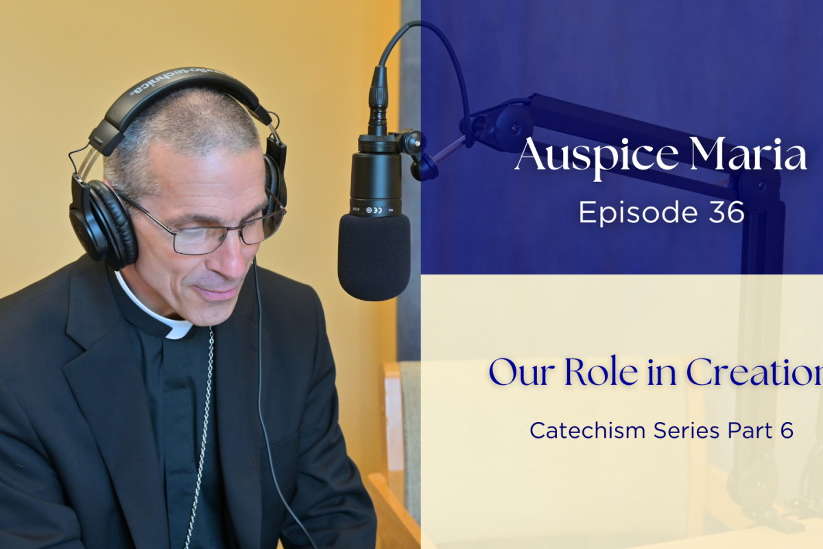 Our Role in Creation (Catechism Series Part 6) - Auspice Maria Ep 36