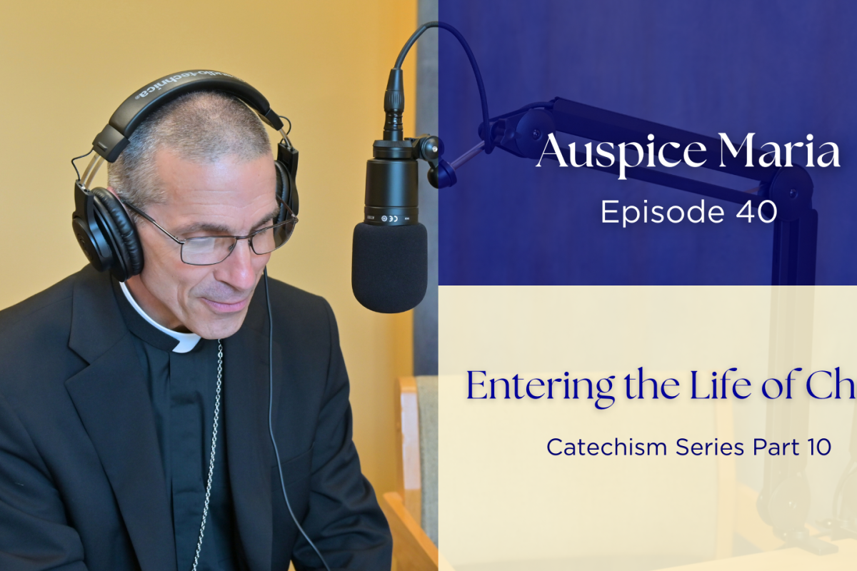 Entering the Life of Christ (Catechism Series Part 10) - Auspice Maria Ep 40