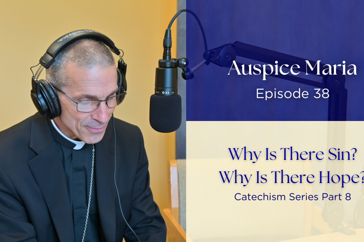 Why Is There Sin? Why Is There Hope? (Catechism Series Part 8) - Auspice Maria Ep 38