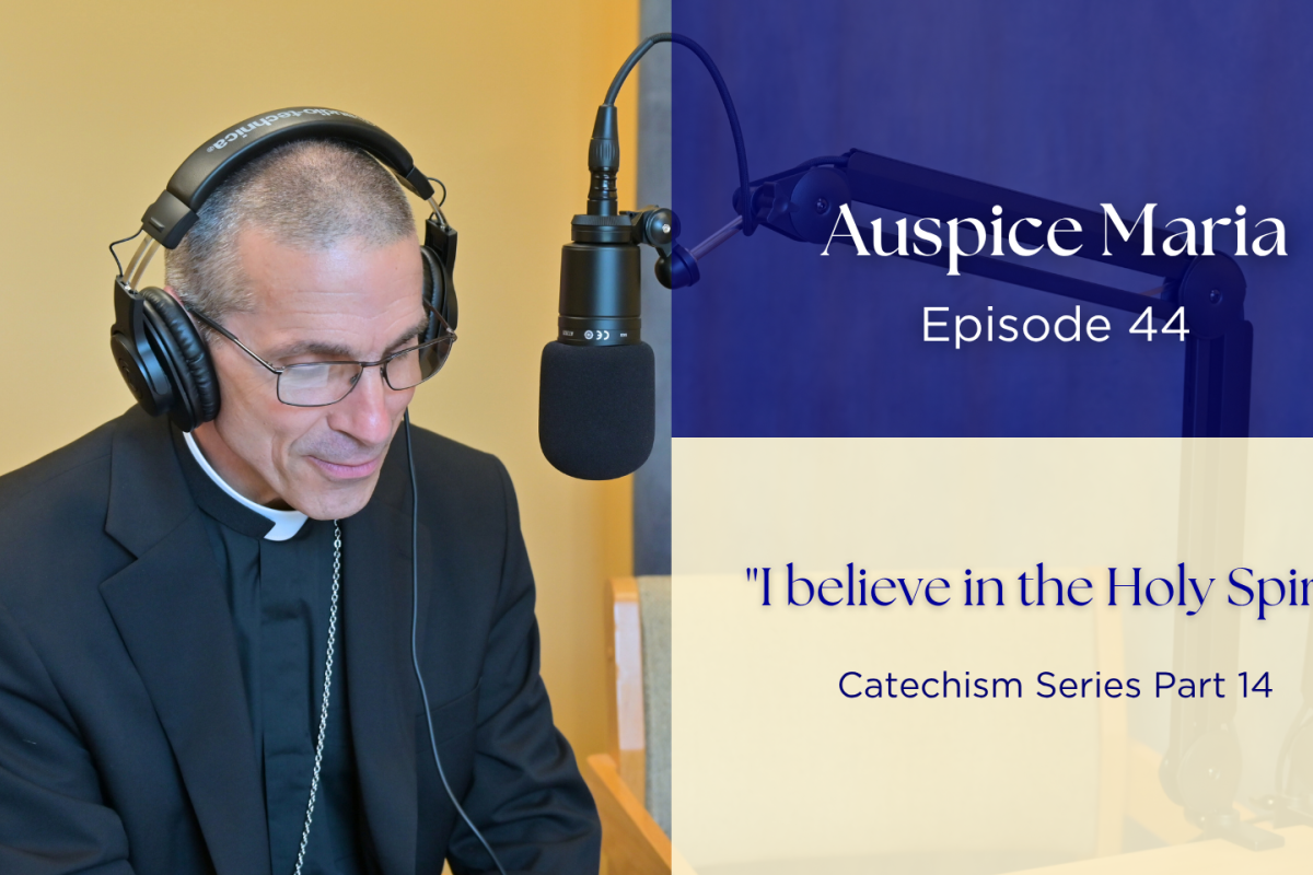 "I believe in the Holy Spirit" (Catechism Series Part 14) - Auspice Maria Episode 44